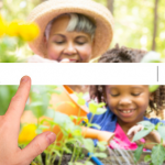 7 Ways to Optimize Your Website for Local SEO