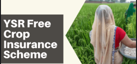 Ysr Free Crop Insurance Scheme