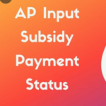 Ap Input Subsidy Status
