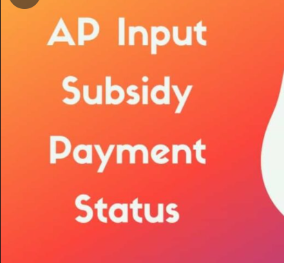 Ap Input Subsidy Status